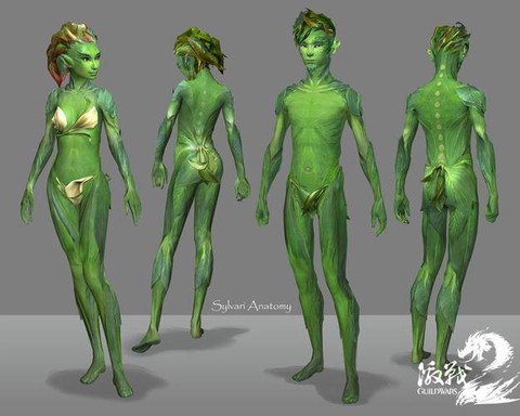 激战2种族有什么用