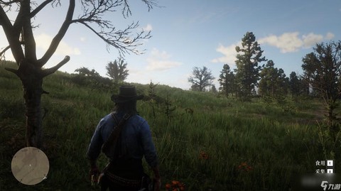 荒野大镖客2什么草