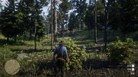 荒野大镖客2什么草[图2]