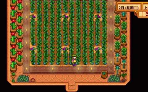 星露谷物语什么水果