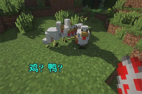 我的世界鸭子吃什么
