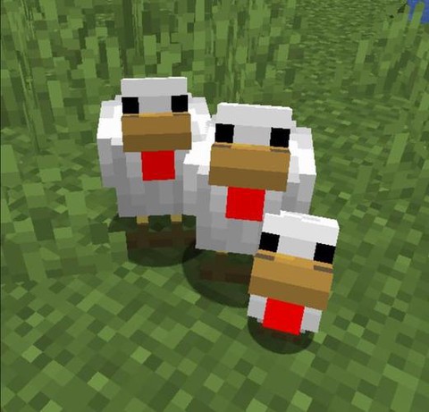 我的世界鸭子吃什么[图2]