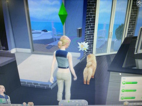 模拟人生4怎么上厕所[图1]