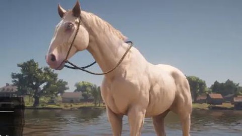 荒野大镖客野马如何