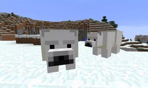 我的世界怎么养北极熊[图1]