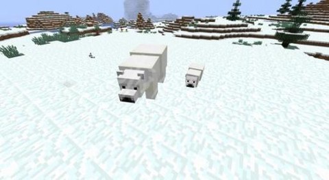 我的世界怎么养北极熊[图2]