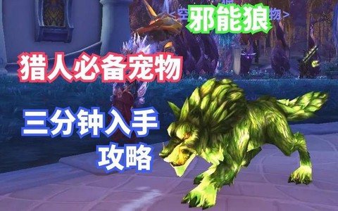 魔兽世界猎人带什么宠物