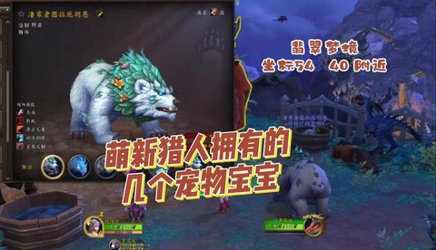 魔兽世界猎人带什么宠物[图2]