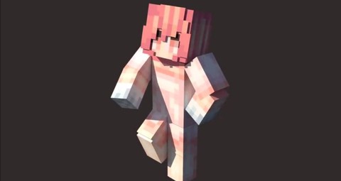 我的世界手机版怎么做皮肤[图2]