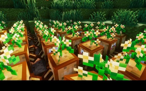 我的世界马铃薯怎么种