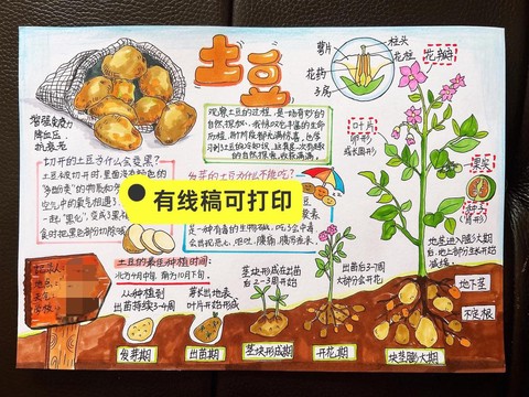 我的世界马铃薯怎么种[图1]