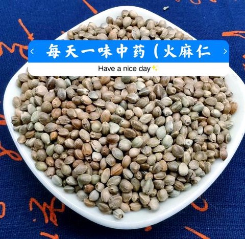 九阴真经火麻有什么用