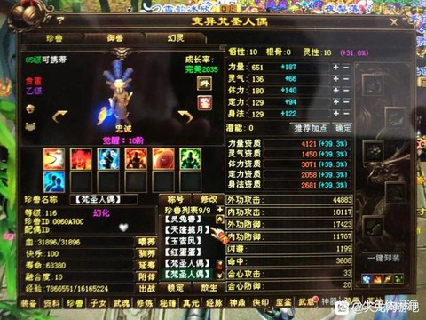 天龙八部怎么提宝宝悟性