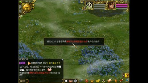 问道手游如何抓宝宝