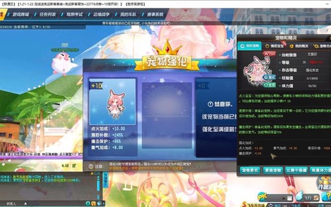 qq飞车宠物怎么得经验