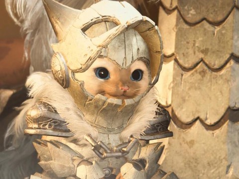 怪物猎人x怎么给猫