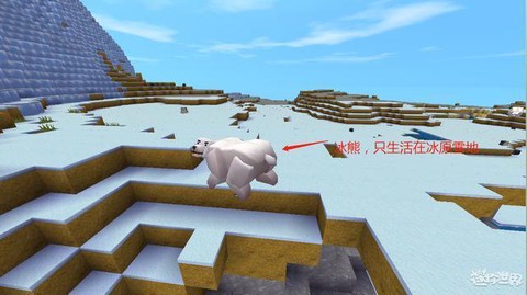 迷你世界的企鹅怎么训