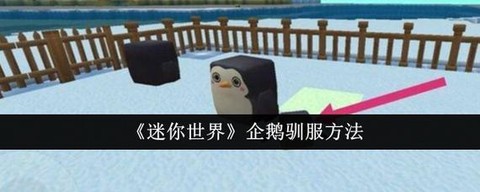 迷你世界的企鹅怎么训[图1]