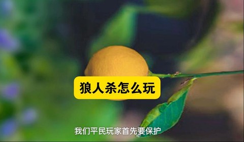 玩吧狼人杀怎么挂机[图2]