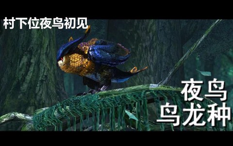 怪物猎人x夜鸟怎么打